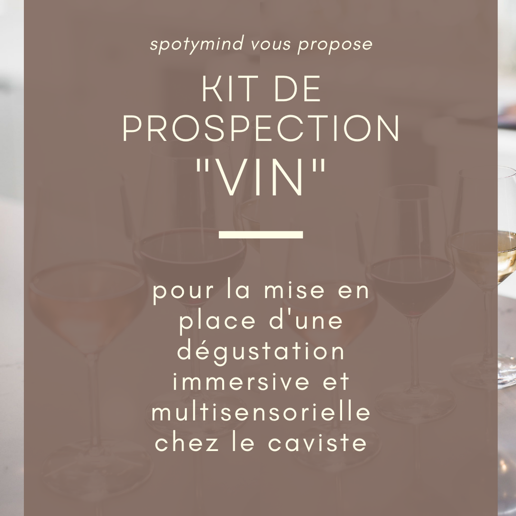 Kit de prospection pour sophrologues: mise en place d'une dégustation de vins immersive chez les cavistes