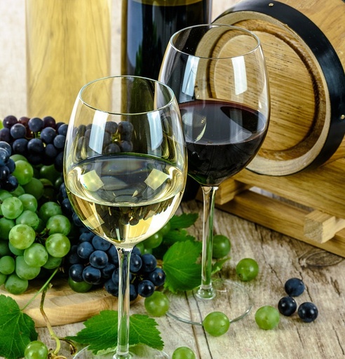 Plateforme de dégustation immersive de vin STANDARD